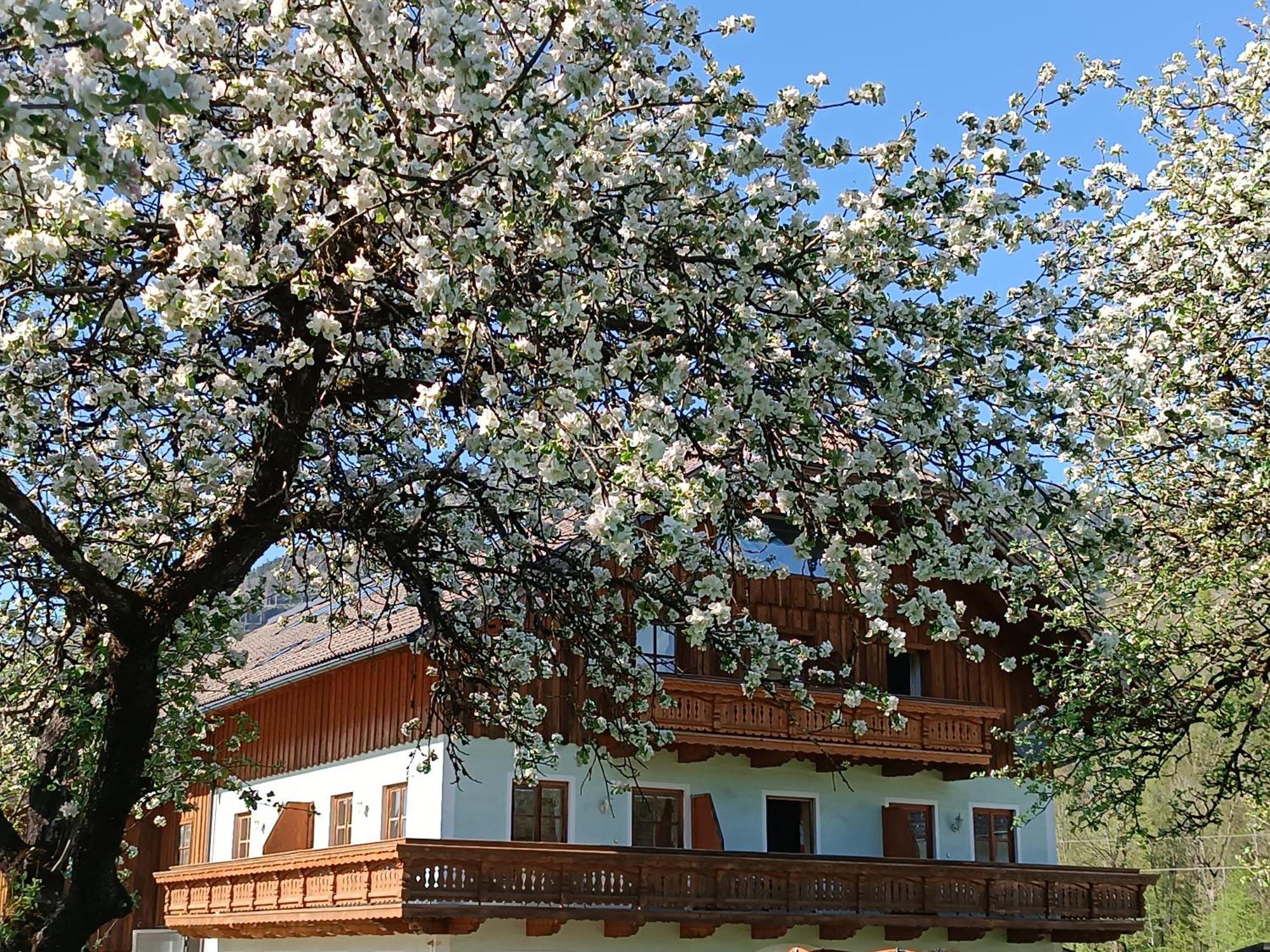 Hintererhof Apartment Hintersee Exterior photo